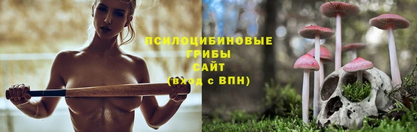 apvp Заволжск