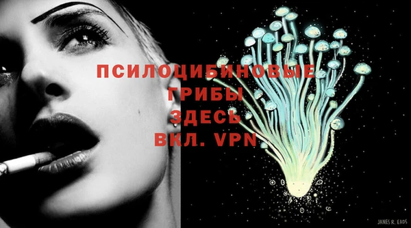 герыч Заводоуковск
