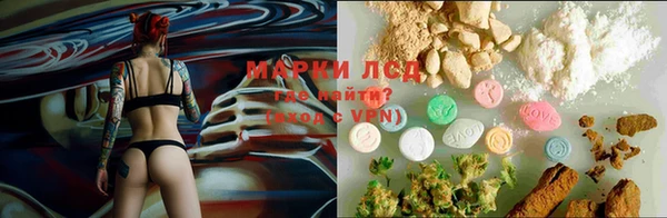 стафф Заволжье