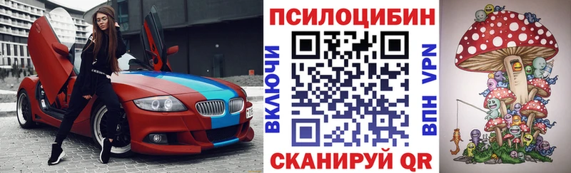 Псилоцибиновые грибы Cubensis  Новочебоксарск 